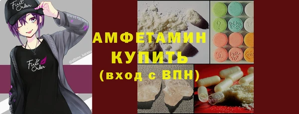 амф Бердск