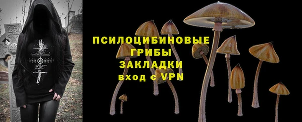 mdpv Радужный